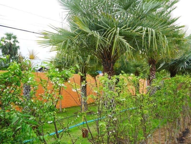 Tinna Resort Ban Nong Mai Ngam Экстерьер фото